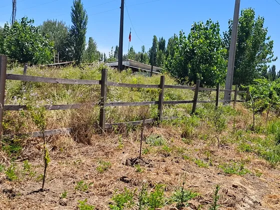 Parcela En Venta, Ñuble. (131).