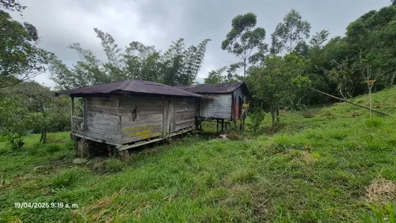 Finca En Venta O Con Opción De Permuta , Ubicada En La Vereda Del Retiro Del Municipio De Villagómez , Cundinamarca