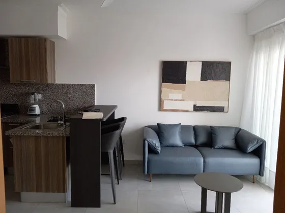 Apartamentos De 1 Habitación Totalmente Amueblado En Alquiler En El Vergel