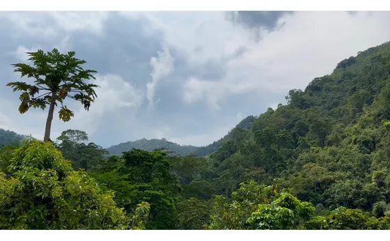 La Vega C/marca - Finca 40 Hectáreas En Venta 