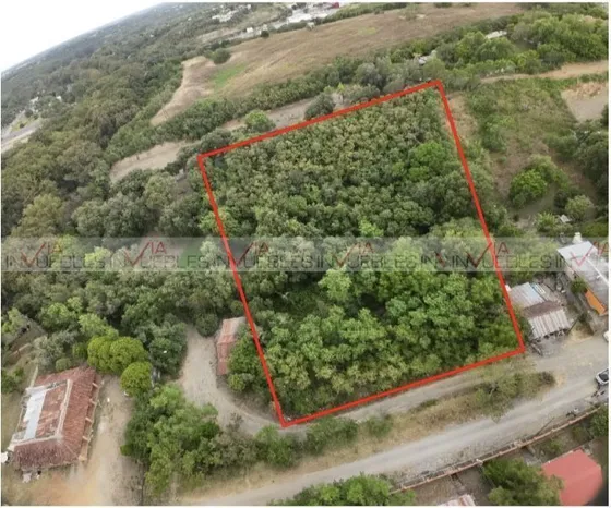 Los Laureles Montemorelos