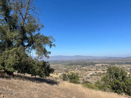 Terreno En Condominio Foresta De Zapallar 10.000 Mts2