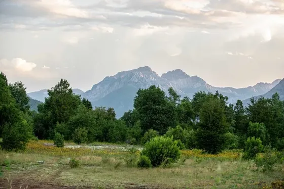 Parcela De 5.000 M² Con Salida Directa Al Río Longaví
