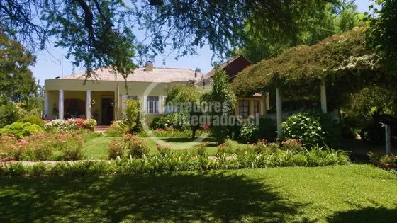Sitio En Venta En Chépica Santa - Cruz Gran Vista