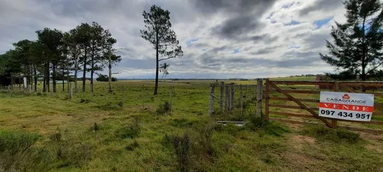 Chacra - Manantiales. Ruta 104