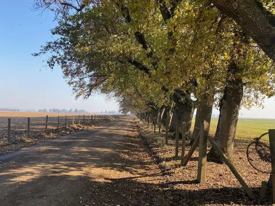 Agrícola En Venta En Traiguén