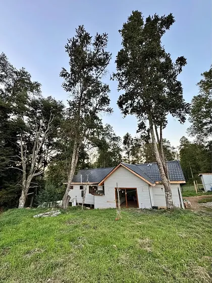 Parcela Con Bosque Nativo / Loteo Bosque De Frutillar