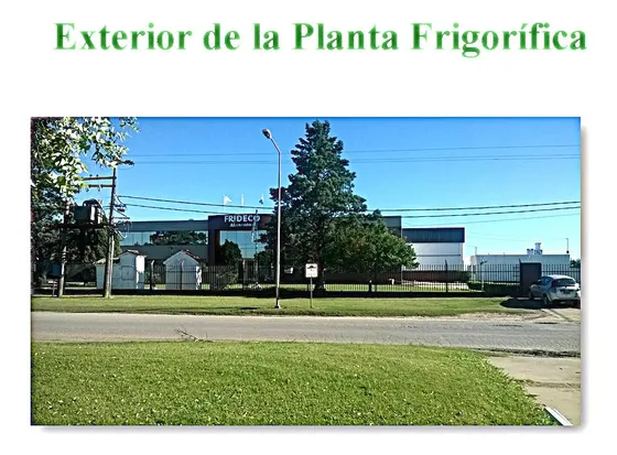 Nave Industrial En  Totoras, Santa Fé, Frigorifico En Venta