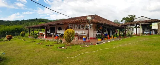 Yotoco, 15 Plazas 