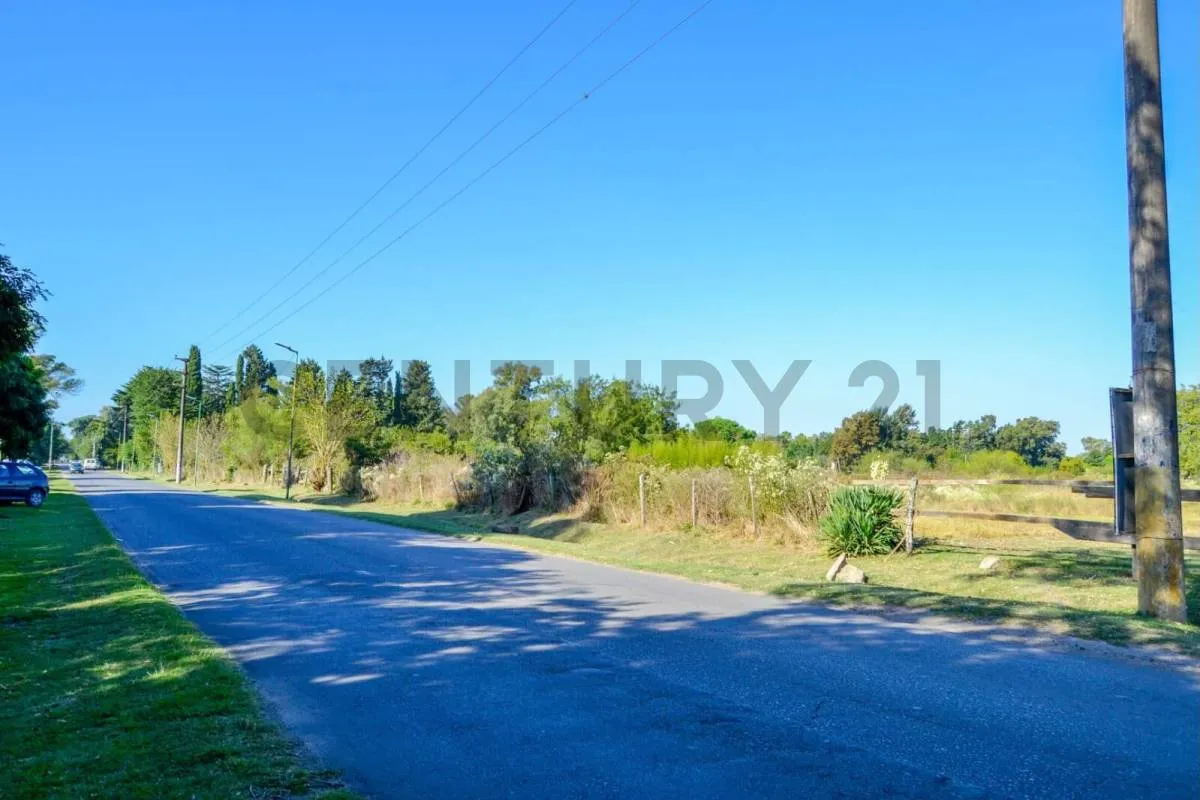 Lot for Sale in Villa Elisa – El Nazareno Neighborhood