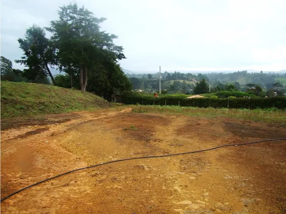 Lote En Venta En Llanogrande Rancherías, Antioquia