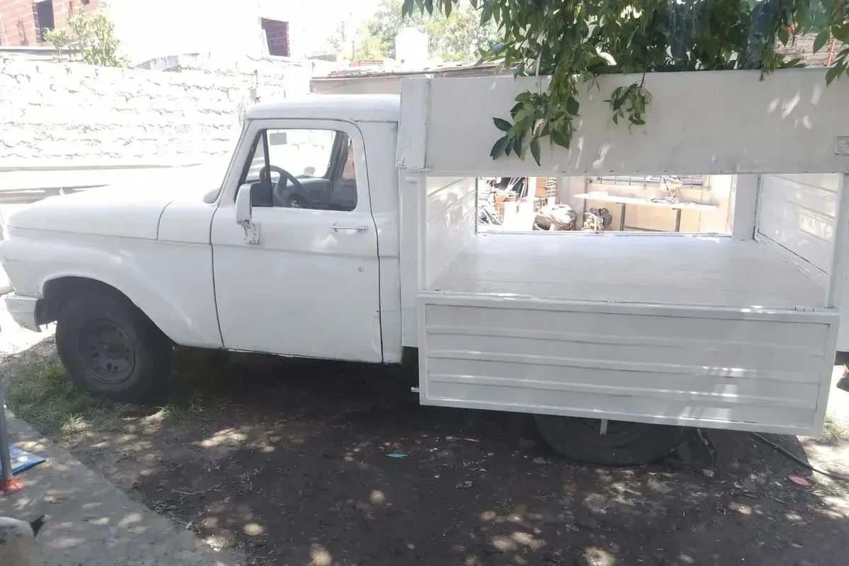 Ford  F 100 Modelo 66