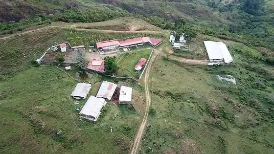 Cf Venta Finca De Producción Porcina Y Avícola   Chirgua, Municipio Bejuma  Área: 8has Con 1489mts2