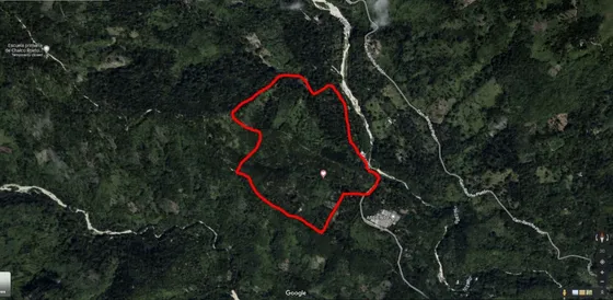 Finca De Aguacates En Venta En Paraíso, Barahona
