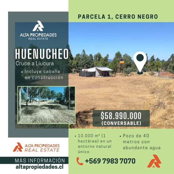 Parcela En Venta  Sector Huenucheo, Cruce A Liucura
