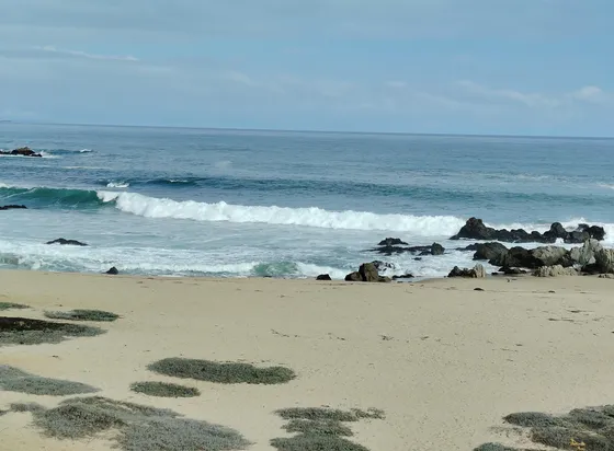 Impresionante Vista Frontal Playa 3d 1b Borde Mar Las Cruces