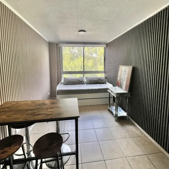 Departamento Amoblado En El Centro Concepción
