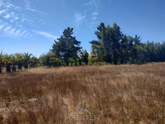 Increible Parcela En Venta En Pelarco