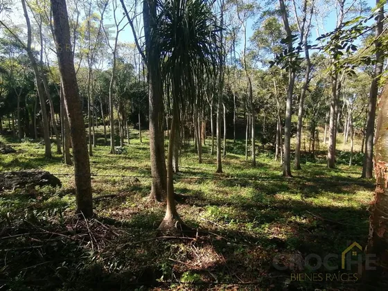 Se Vende Terreno En La Concepción Veracruz