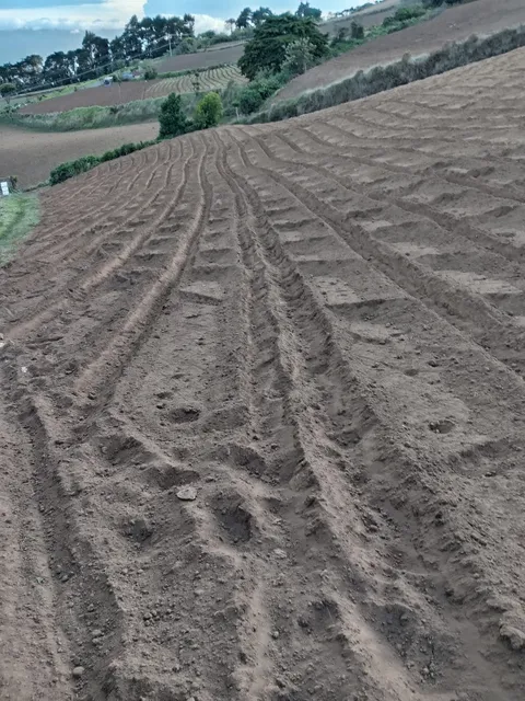 Terreno Para Siembra Uso Mixto 