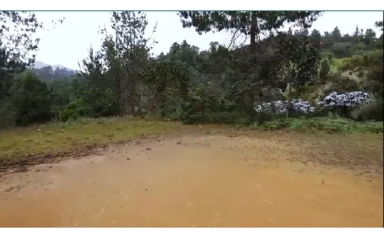 Venta  Lote Palmas Parcelación Cerrada
