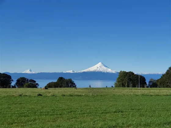 Tulipanes De Frutillar, Parcelas Con Orilla De Lago