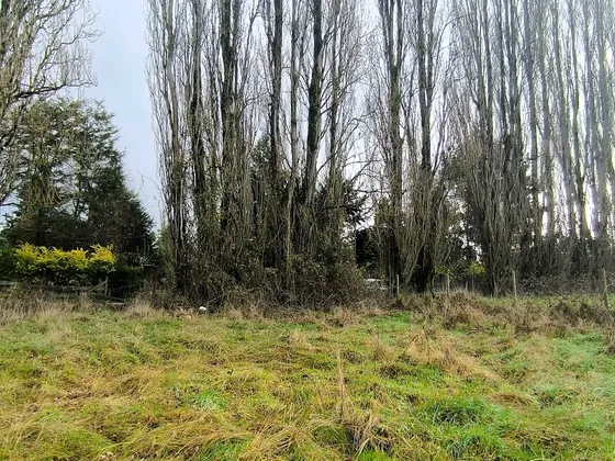 5.700 M² En Sector Consolidado Osorno (153364)