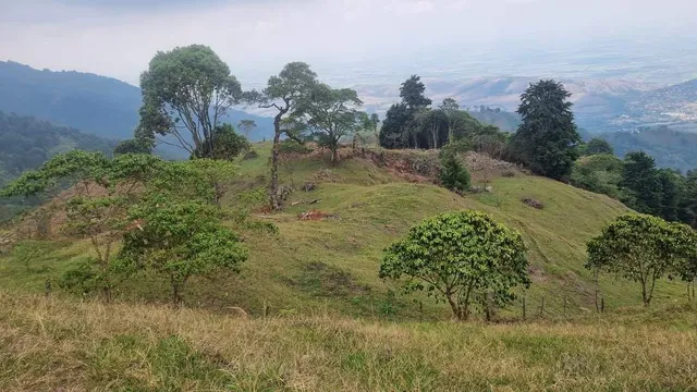 Lote De 2.749m2 En Parcelación En Venta La Buitrera Palmira Valle