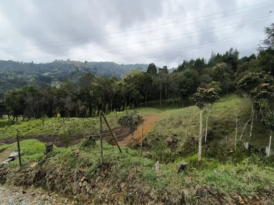  Lote En Venta Ubicado En Santa Elena Sector Vereda La Honda (27329).