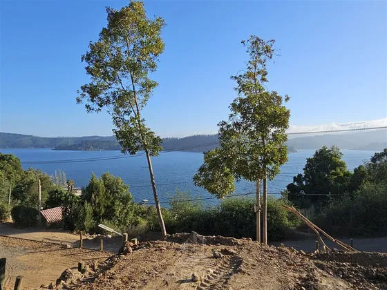 Parcela En Venta En Vichuquén