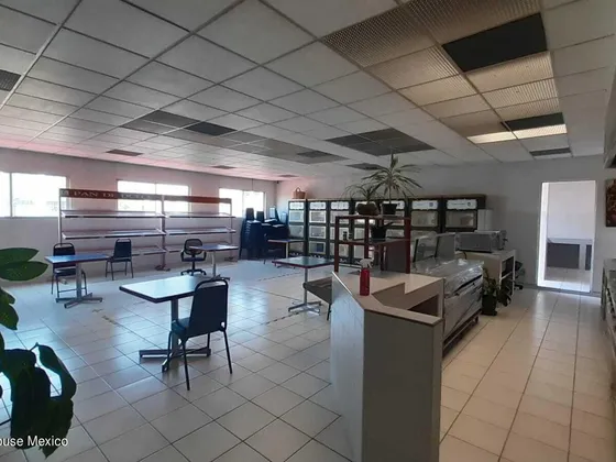 Edificio De Oficinas En Renta En Cuauhtémoc Doctores Gis 24-301