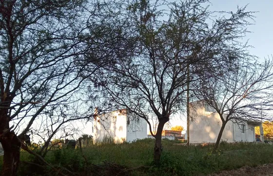 Vendo Total , Terreno Lote Para Casa O Cabañas,colón E Rios 