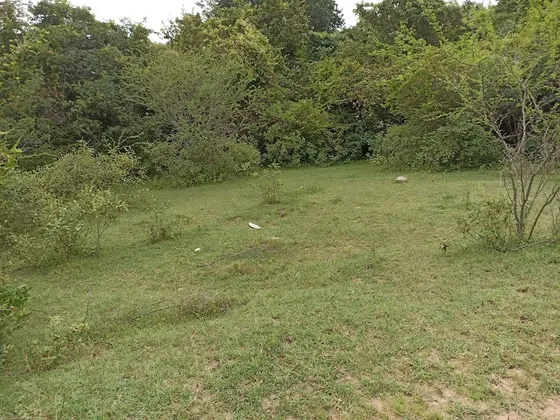 Venta Lote Betania Huila