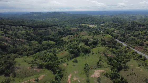 Se Vende Finca Ganadera A Orilla De Via Principal 
