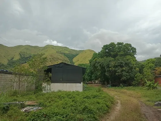 En Venta Terreno Con  Bienhechurías (variante San Diego-yagua)