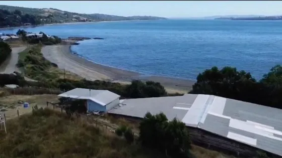 Centro De Eventos Y Turismo En Ancud