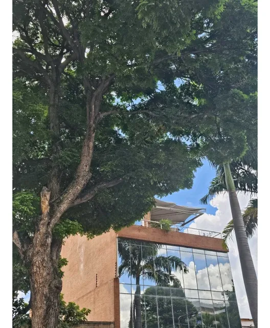 Alquilo Edificio De Oficinas 580m2 Campo Claro 1131