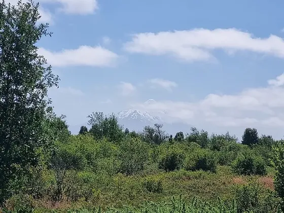 Sitio De 40 Ha Para Loteo En Alerce