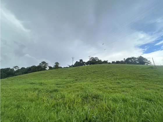 Se Vende Lote En Condominio En Circasia
