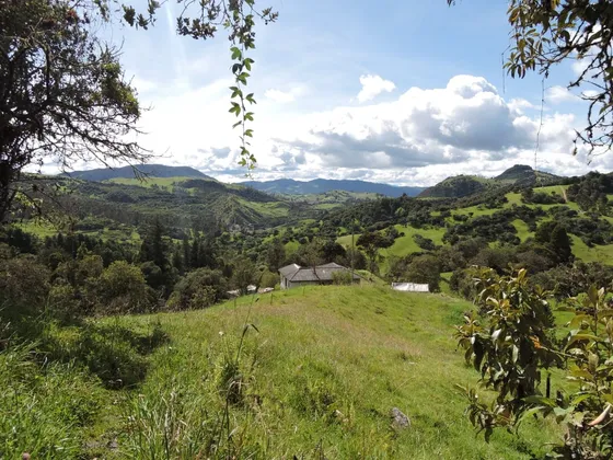 Vendo Finca En La Calera Cundinamarca 