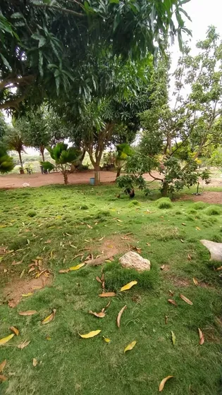 Espectacular Terreno Ideal Para Posada  Ic-00040