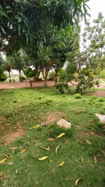 Espectacular Terreno Ideal Para Posada  Ic-00040
