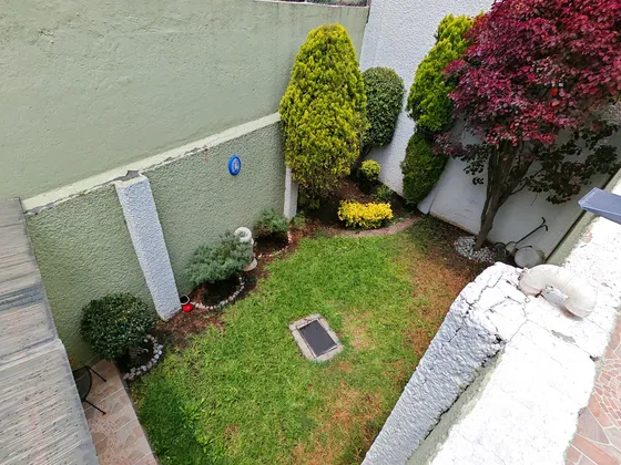 Encantadora Casa, Tlalpan. Remodelada, Iluminada, Espacios Amplios Y Jardín
