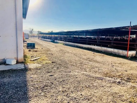 Terreno En Venta En Pastor Rouaix, Gómez Palacio, Durango