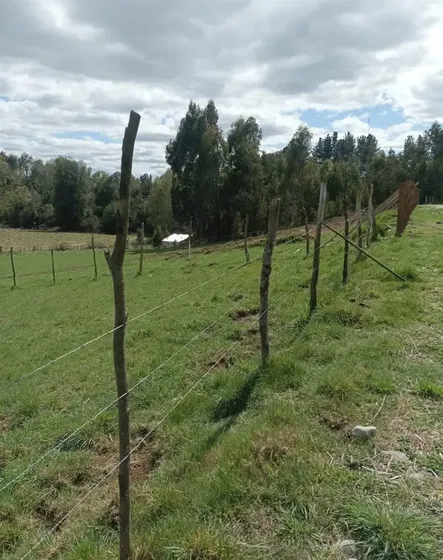 Parcela En Venta En Pitrufquén