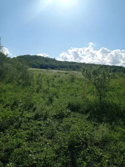 Increíble Campo De 24 Hectáreas En La Granja
