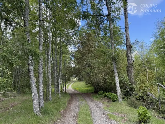 Venta- Preservación-villarrica- 16 Héctareas