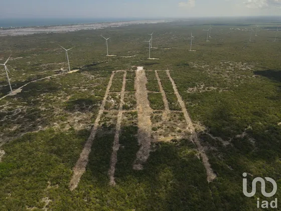Venta Terreno 0 Ambiente Chicxulub Puerto