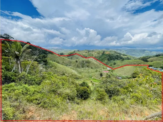 Se Vende Finca Con Trapiche Panelero, En San Roque, Antioquia. 