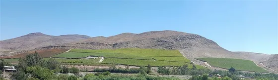 Agrícola En Venta En Vallenar